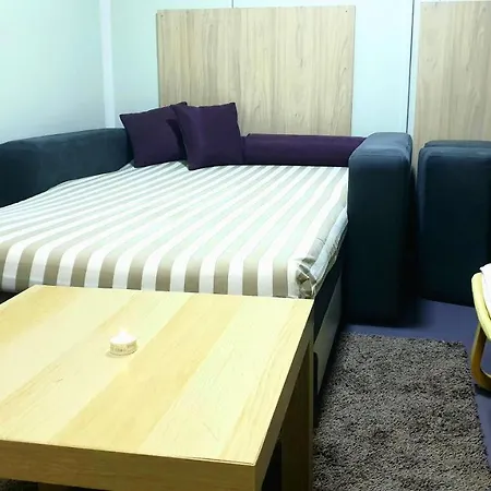 Cosy Novi Sad Loft Ii - Jakuzzi, Sauna, Reserved Parking Apartment